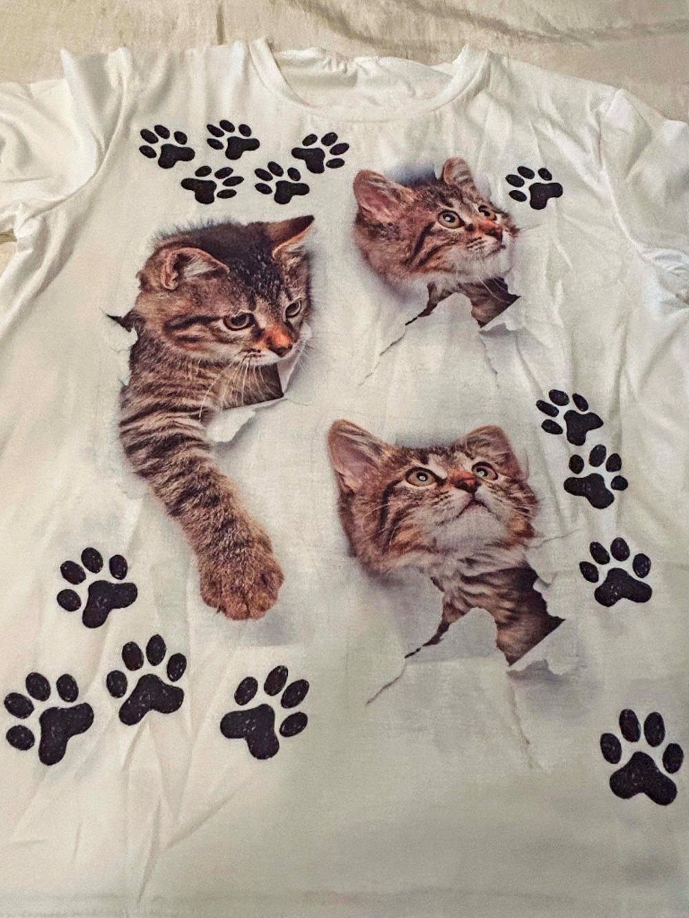T-SHIRT THREE KITTENS BROWN/BLACK ON WHITE SZ XL TEMU, IN ORIGINAL BAG, TAGS ON,